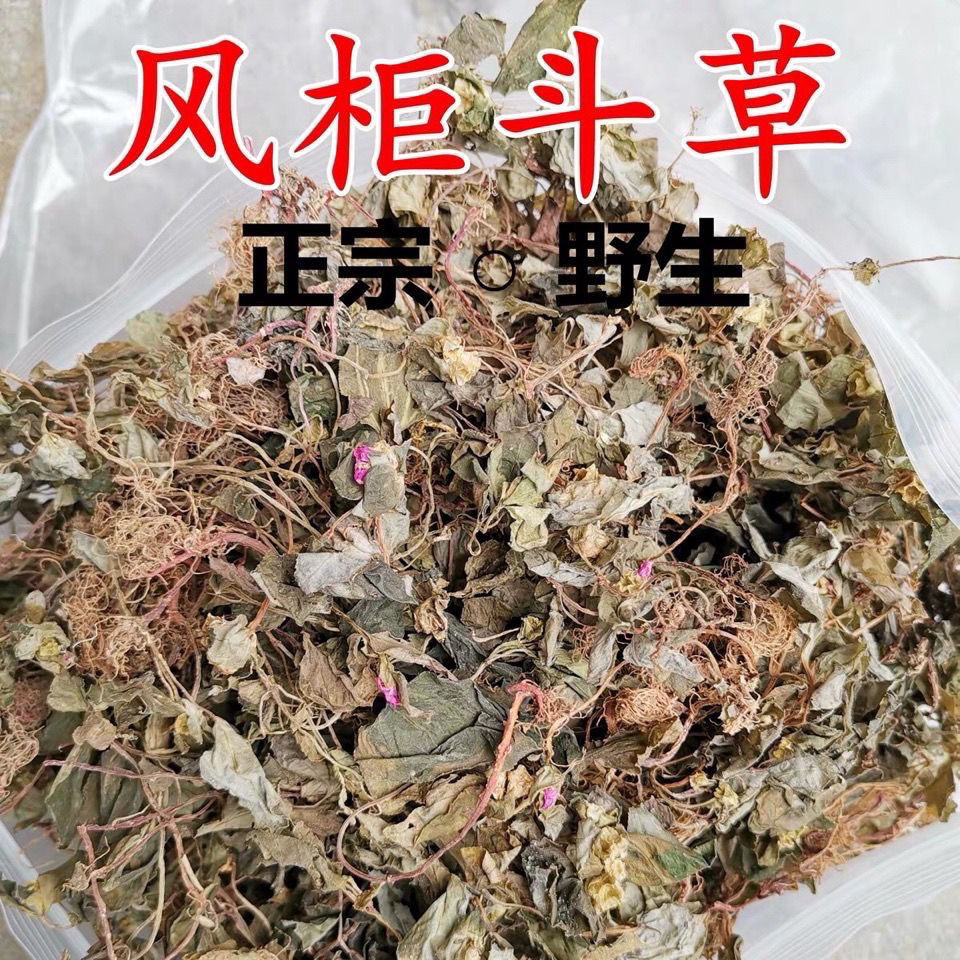 谷风贵州正宗 风柜斗草野生风鼓草深山干货肝茶免洗天然50g5年