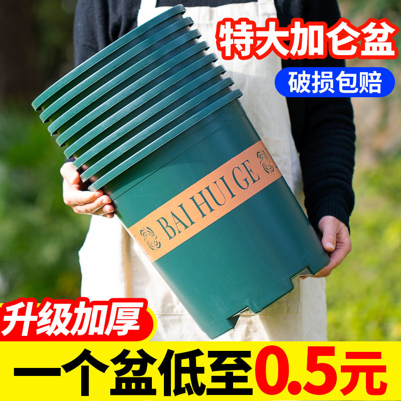 塑料花盆带托盘加厚大口径简约