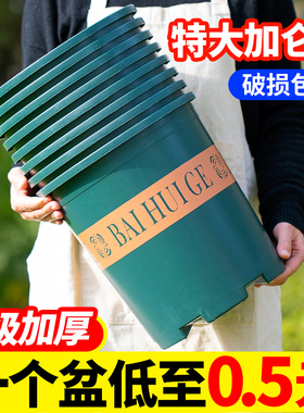 花盆家用塑料加仑盆大号树脂阳台盆栽盆景黄金葛兰花多肉专用盆清