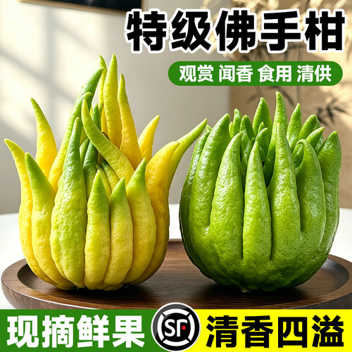 佛手柑鲜果新鲜佛手瓜切带枝