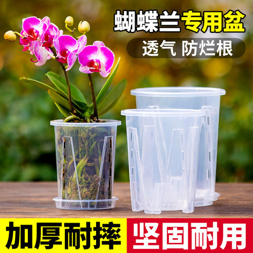 家用树脂控根透气兰花盆