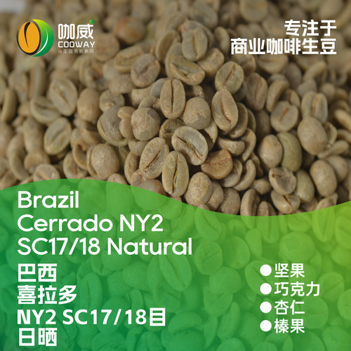 2026产季 巴西 喜拉多 NY2 SC17/18目 日晒 咖啡生豆