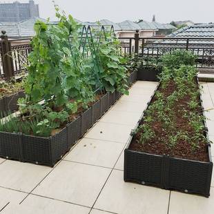 蔬菜种植箱阳台菜园楼顶种菜设备特大加深种菜盆加长组合塑料花盆