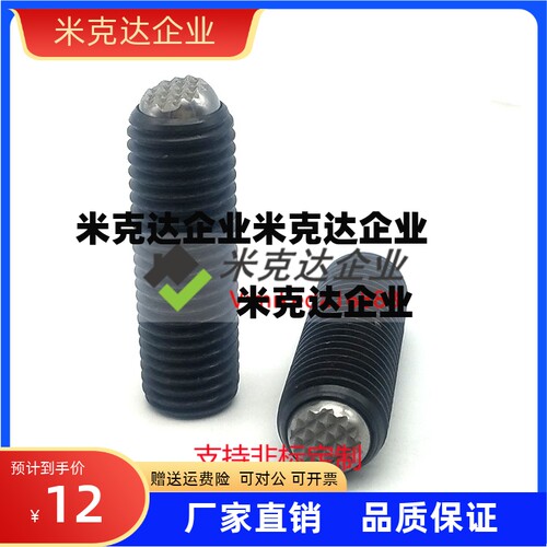 动向钢珠螺杆 齿面锁紧螺丝 FSMG6-M16 无弹簧滚动 PT16C
