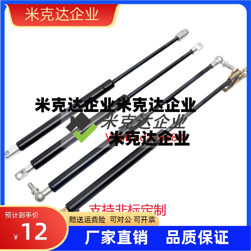 FGSS15100B气弹簧15150A