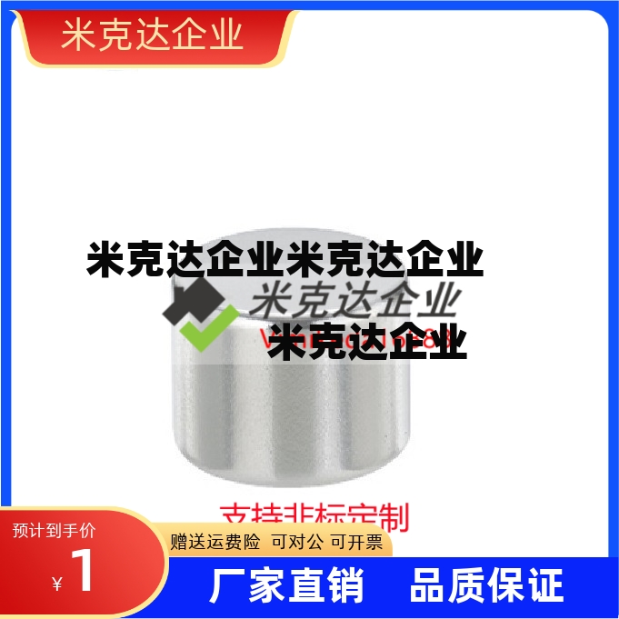 磁铁 BLS01-D1/D2/D3/D4-L1/L2/L3/L4/L5/L6/L8/L10精品