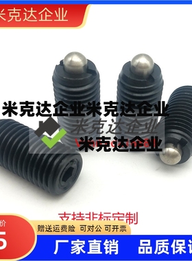 ZC204-2-1H德标弹簧锁销 闩头定位弹簧柱塞GN616精品