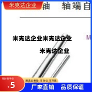 导向轴 轴端自由加工型 FSFJ FSSFJ FPSFJ FPSSFJ 导杆FSFU FSSFU