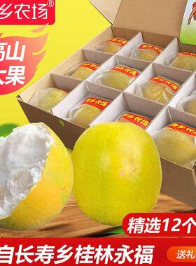 寿乡农场黄金罗汉果干12个大果广西桂林罗汉果茶低温脱水干果新果