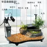 Арочная черепаха Экологическое цилиндровое солнце