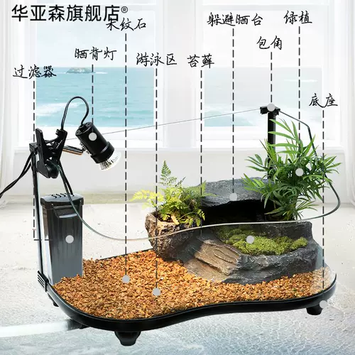 Арочная черепаха Экологическое цилиндровое солнце