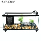 Танк с большим дном дренажными черепахами с солнечным стол.