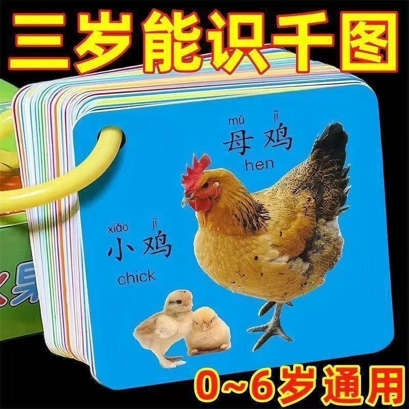 【央妈推荐】⭐撕不烂可啃咬