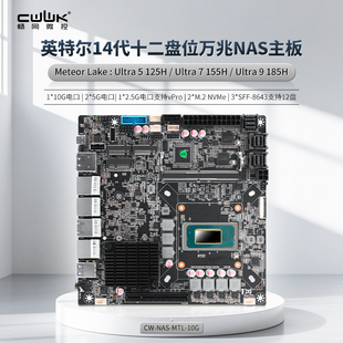 畅网 Ultra 125H/155H/185H 5G/万兆 适用飞牛12盘位ITX  NAS主板