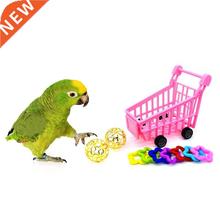 Plastic Toys Shopping Parrot Bird Training Set Puzzle Mini