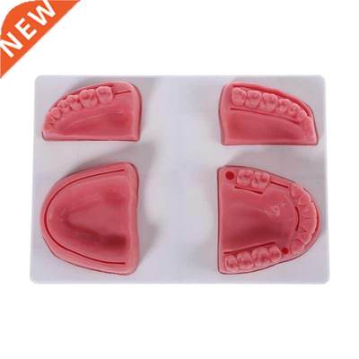 Pro Oral Suture Training Pad Designed with 4 Realistic Silic