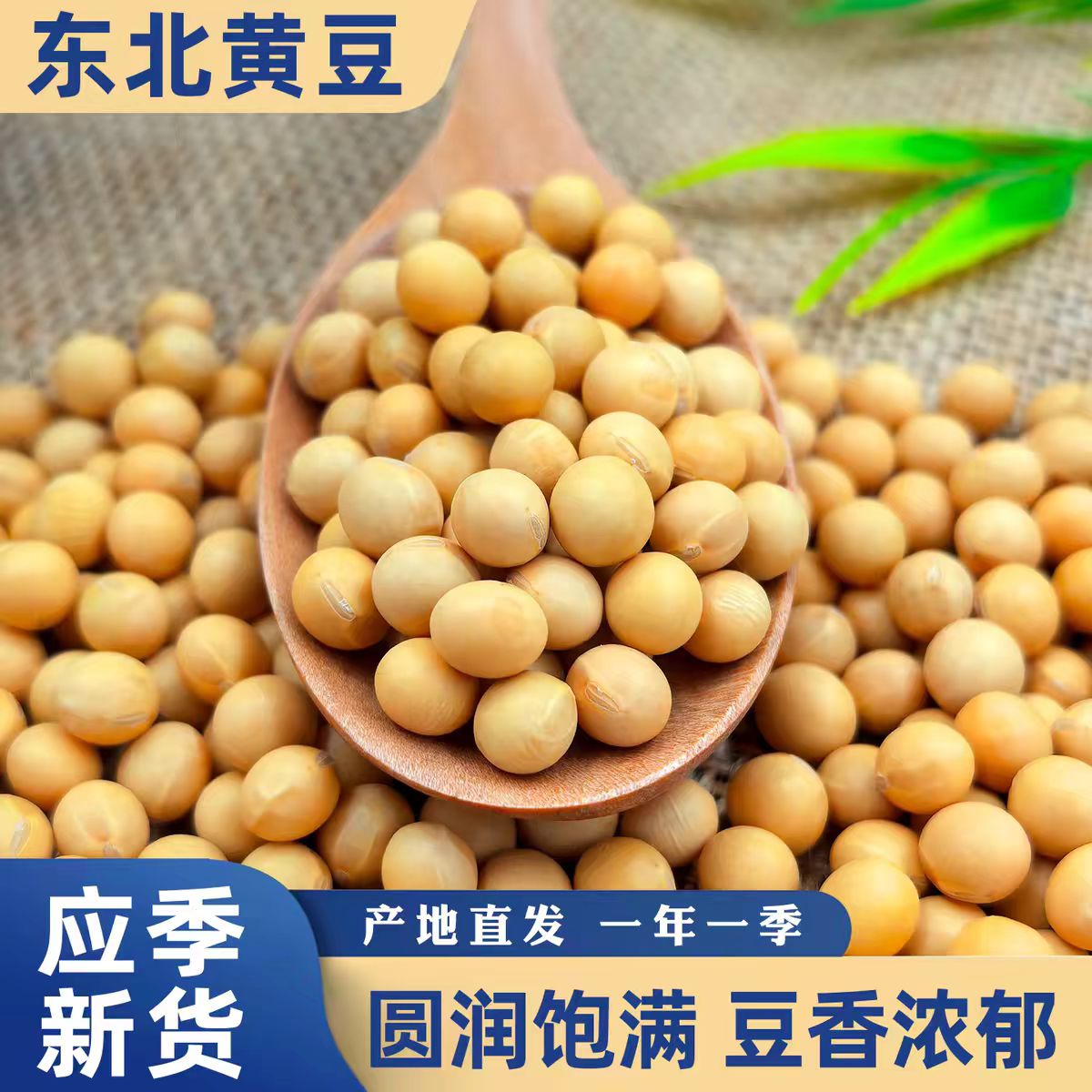 东北黄豆打豆浆专用豆子非转基因新大豆农家土黄豆袋装营养丰富