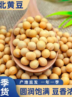 东北黄豆打豆浆专用豆子非转基因新大豆农家土黄豆袋装营养丰富