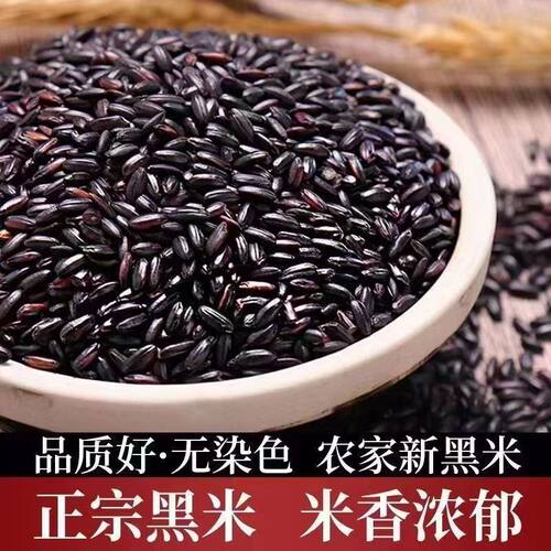 东北黑米农家新米黑香米自种五谷杂粮糙米粗粮饭团原料