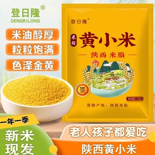 新黄小米5斤陕西米脂油小米粥农家小黄米月子米小米杂粮胚芽米