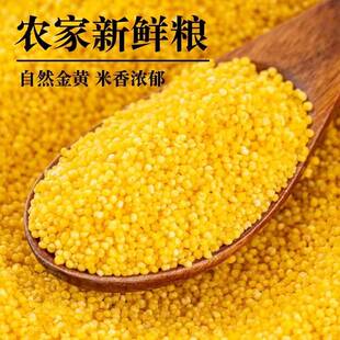 小米正宗陕西黄小米5斤装2025新米糯小米粥五谷杂粮易出米油