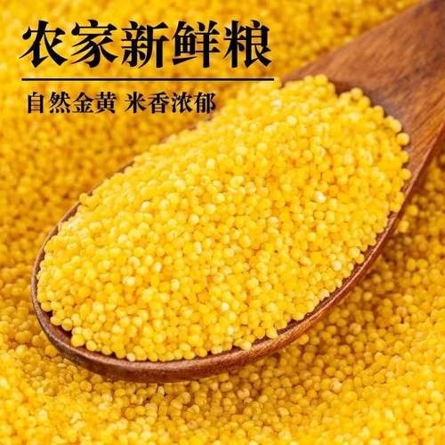 小米正宗陕西黄小米5斤装2025新米糯小米粥五谷杂粮易出米油