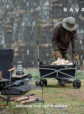 Bavay/北欢迷你手拉车家用购物车快递便携户外露营八轮小推车C01