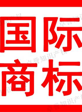 美日欧英德加海外亚马逊电商马德里国际全球商标品牌申请转让复审