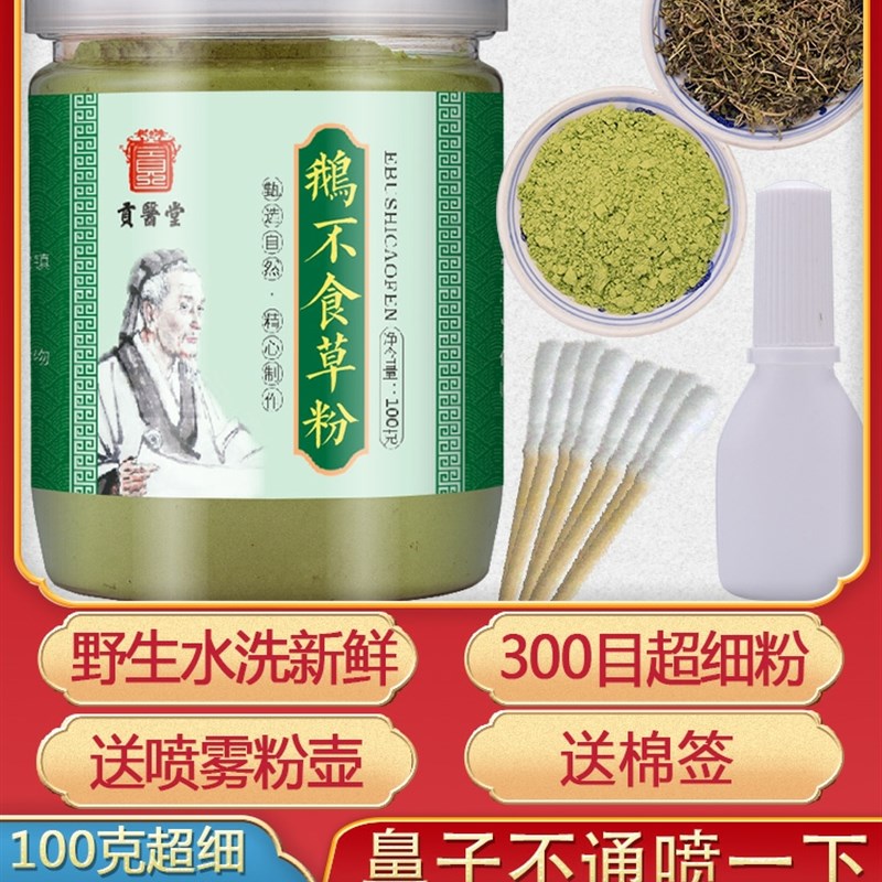 鹅不食草粉末非野生新鲜中r药鹅不食粉喷剂超细晒干 干滴鼻液100
