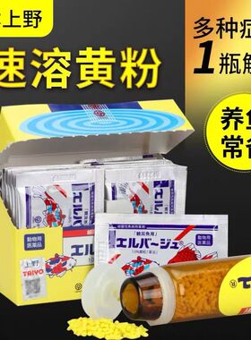 日本黄粉观赏鱼杀菌日本上野黄粉白点烂身烂尾烂鳍金粹昊 15262