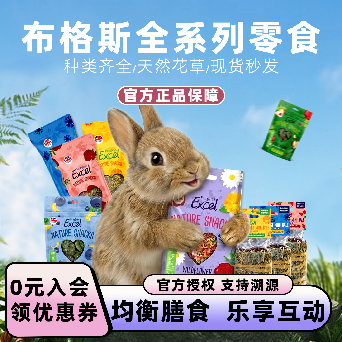 布格斯零食宠物兔子专用磨牙棒龙猫荷兰猪草饼天然蔬菜干正品现货