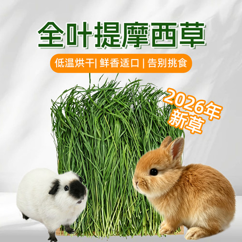 提摩西全叶26年烘干兔子专用草料