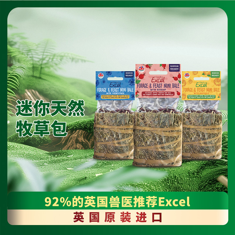 BURGESS现货宠物兔零食英国进口荷兰猪天然矢车菊玫瑰果牧草包