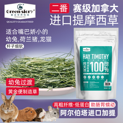 兔子提摩西干草料荷兰猪粮食草