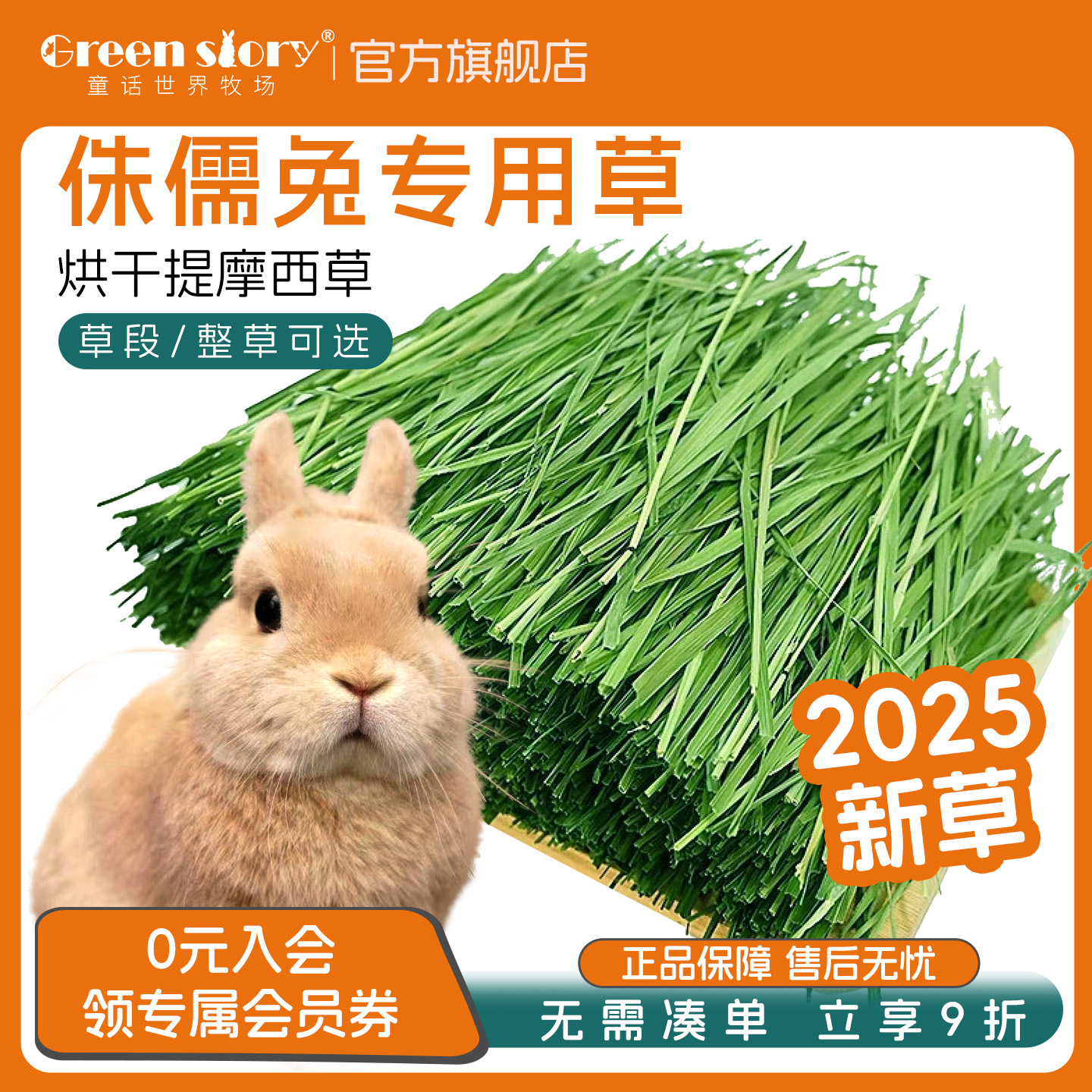 烘干北提摩西草侏儒兔子专用食物