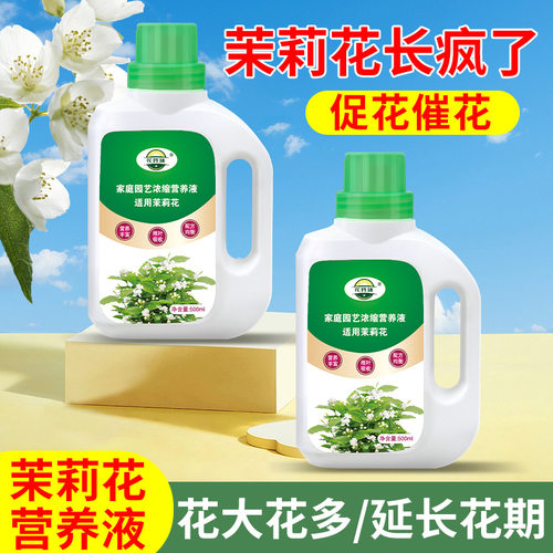茉莉花专用营养液治枯萎发黄肥料用盆栽植物液体室内养花花卉肥