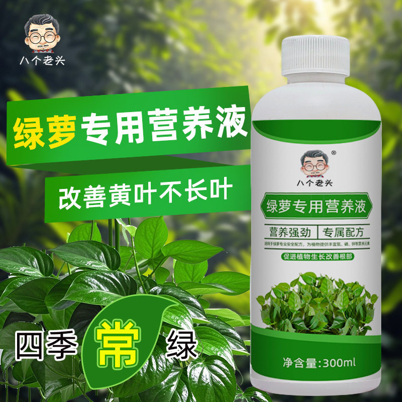 绿萝营养液专用肥料用植物盆栽吊兰绿植水培型绿箩营业液叶面肥