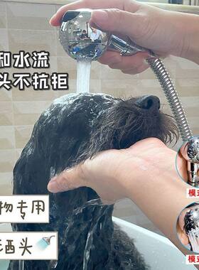 狗狗花洒柔和不刺激高压家用宠物店专用狗狗猫咪喷头泰迪洗澡喷头