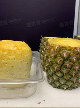 W大型立式削皮机 大果削皮机 菠萝凤梨去皮机 甜瓜大瓜西瓜刨皮机