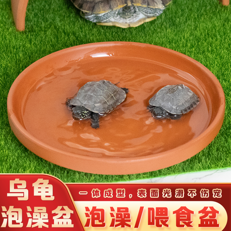 乌龟泡澡盆仓鼠喂食盘喝水爬宠陶土食盆黄缘龟水盆螃蟹喂食器台