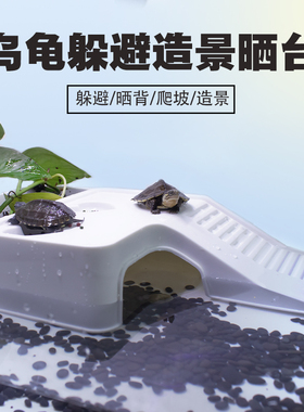 麝香剃刀龟乌龟晒台爬台龟缸造景晒龟台晒背台躲避洞屋休息高水位
