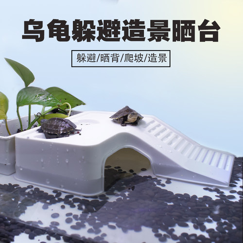 麝香剃刀龟乌龟晒台爬台龟缸造景晒龟台晒背台躲避洞屋休息高水位
