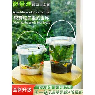 初中生物生态瓶diy材料自循环微景观手提塑料观赏鱼虾 班主任推荐