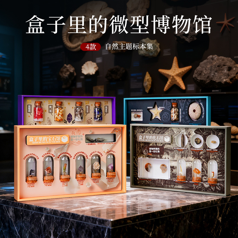 儿童自然标本主题科普礼盒礼物