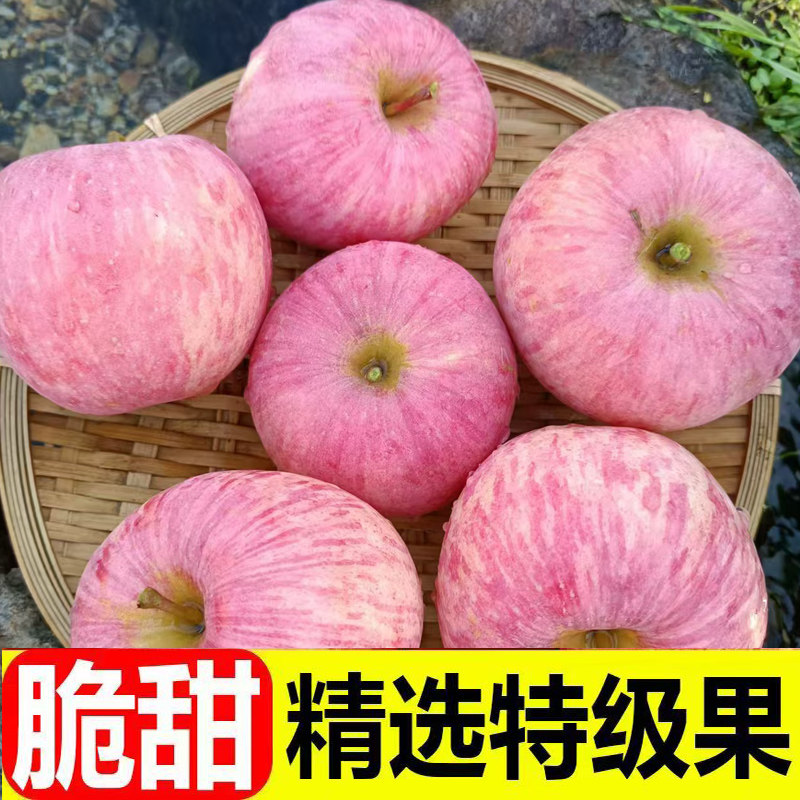 农家新鲜山东烟台栖霞产地直发5苹果