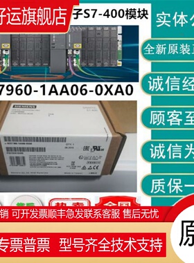 6ES7 960 6ES7960-1AA04/1AA06/1AA08-0XA0/5AA0S7-400模块