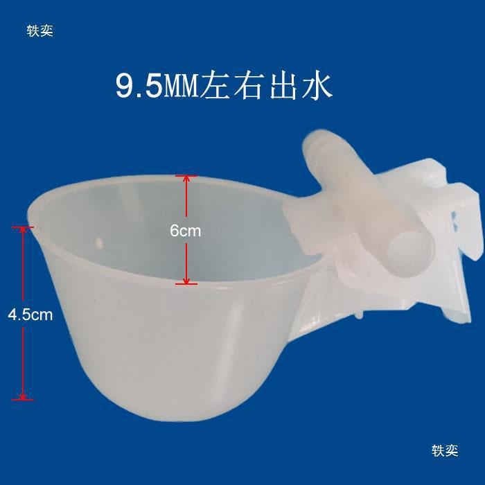 鸽子喂水碗自动饮水器清洗免鸽子水器自动饮水杯用水碗水杯鸽其他