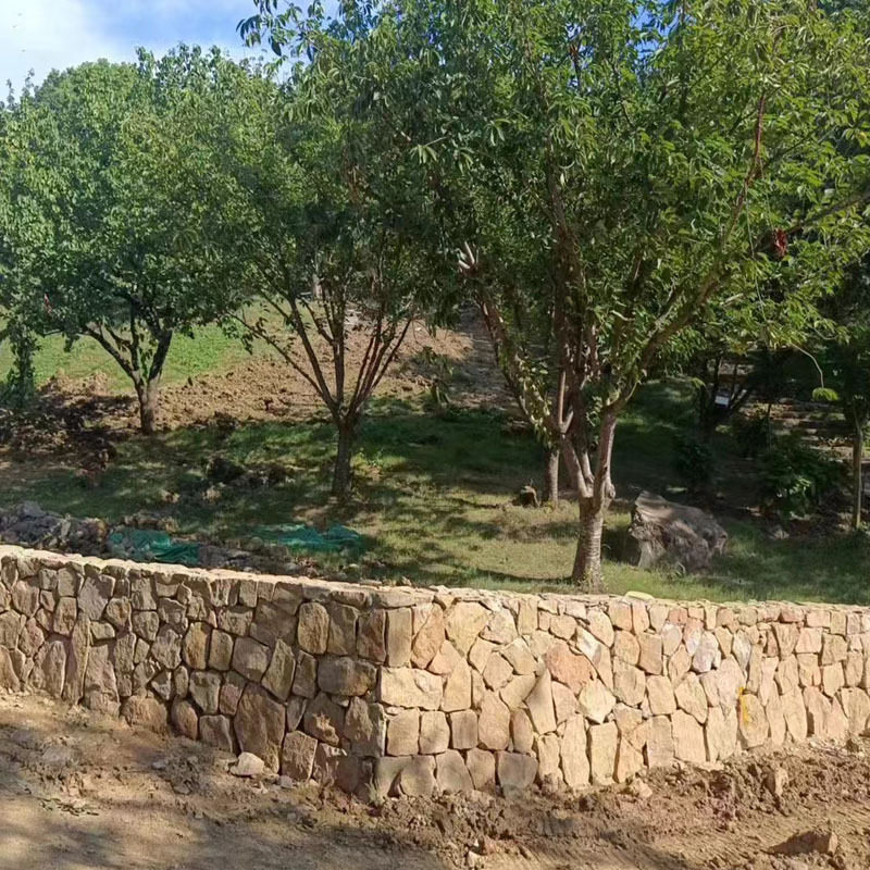黄石园林假山驳岸造景石