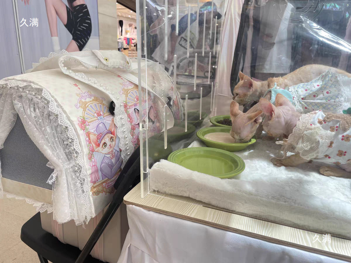 亚克力透明猫赛笼赛猫笼猫咪展示笼猫屋快捷安装狗笼子兔笼子其他