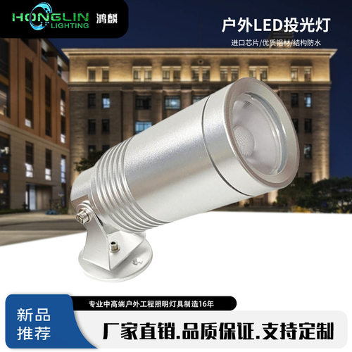 10W户外防水射灯庭院灯别墅花园装饰公园草地室外接电地插灯照树